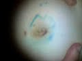 Bellybutton fun part one =D Bellybutton fun part one =D