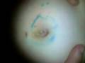 Bellybutton fun part one =D