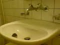 Hamster Exploring Bathroom Sink Part 1