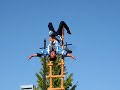 第33回 越谷市民まつり　No.5 鳶によるはしご登り演技１。The 33th citizens festival of Koshigaya,Saitama Prefecture JAPAN.'HAshigo-nobori', that is climbing up a ladder by 'Tobi'. 'Tobi' is Japanese 'spider man'.