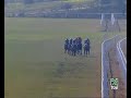 20061231: 5ª carrera  dr garrido 