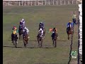 20061231: 5ª carrera  dr garrido 