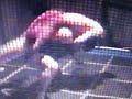 Rage in a cage #4 short fuse zak v.s Grag the hurricane