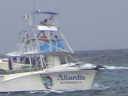 Dive Travel - Cozumel - Caves, Caverns, and Wreck