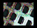 Télé-vision