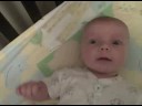 Quinn 8 weeks old