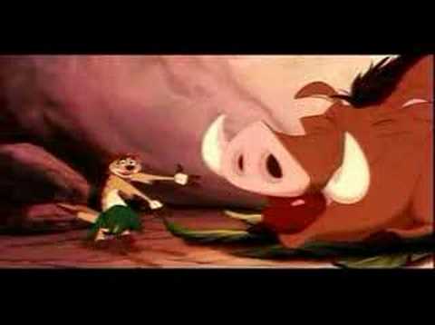 TIMON