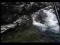 ナナホシテントウ動画15