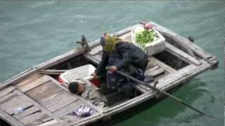 Holland America Line ms Zaandam