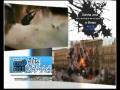 videos de Promoção Alta Definição