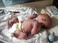 newborn baby jdub