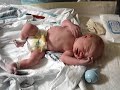 newborn baby jdub