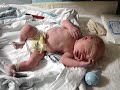 newborn baby jdub