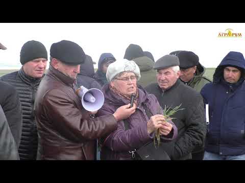 NO-till в Крыму. Озимый ячмень. Вода для раствора глифосата.