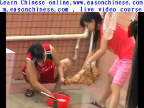 WOMAN SLAUGHTER CHİCKEN