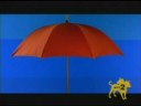 Sean Paul - Temperature Video