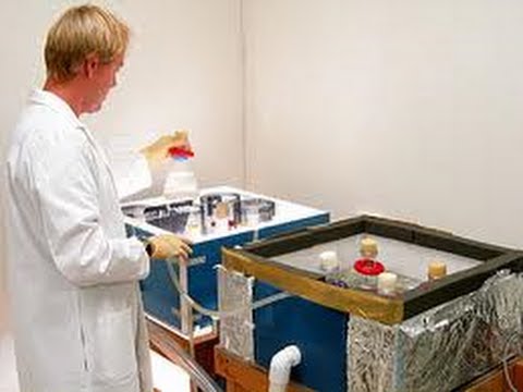 how to grow zooplankton