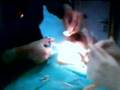 Cirurgia-de-resto-ra
