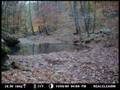 Fall Transition Time Lapse - Complete