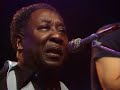 Muddy Waters-Molde Festival Norway 77 Muddy Waters-Molde Festival Norway 77