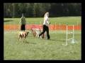 videos de RR National Open All - Foosa.mp4