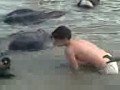 Sameer in his home pool with tayyaba