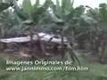 Este video de goche que Alvaro