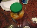 Concoction Ceation Concoction Ceation