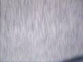 videos de short video of my 12