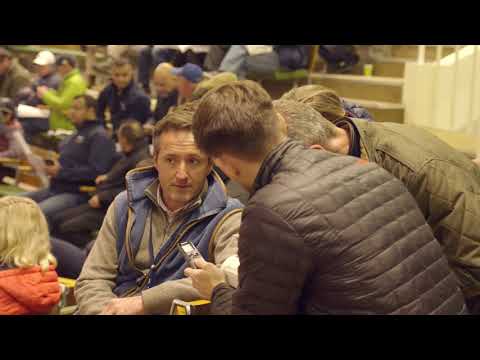 Autumn Horses in Training Sale 2017 Day 3 Video Review