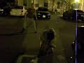 ball tap