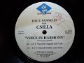 Joe T. Vannelli feat. Csilla - Voice In Harmony (Joe T. Vann