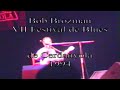 bob brozman en el festival de blues de cerdanyola del valles, 1994