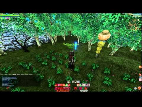 how to harvest archeum trees