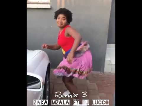 Best Xitsonga Video_Zaka Mzala ft Dj Lucco_Remix 3