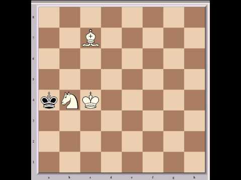chess knight