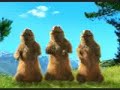 marmotttt