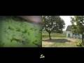 Fruity, Yet Complex - Episode One - The Roots of the Vine
