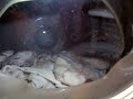 White Westinghouse Washer