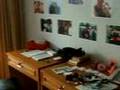 Thailand 2: My Apartment after Moving in