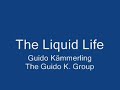 The Liquid Life, Guido Kämmerling & The Guido K. Group