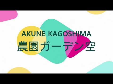 テラスカフェ空、テイクアウトはじめました♪