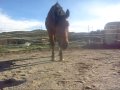 Love of my Life (L) My soulmate... [Tuesday] Great Video Ruined