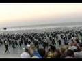 Ironman Florida 2007 Swim Start
