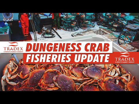 3MMI - Dungeness Crab Season Update, Alaska’s Dungeness Harvest Forecast, COVID-19 Affects