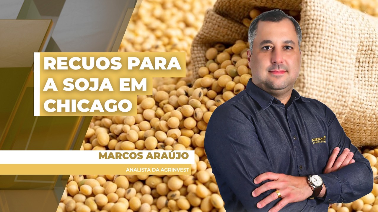 Possibilidade do fim da guerra no Irã tirou força do dólar e trouxe recuos para a soja em Chicago...