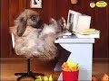 Un petit délire avec un pote....