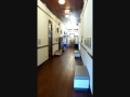 videos de Plains High School--The State School of Georgia