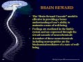 Super Brain - Part 1 of 8