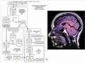 Super Brain - Part 1 of 8